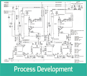 Process Development